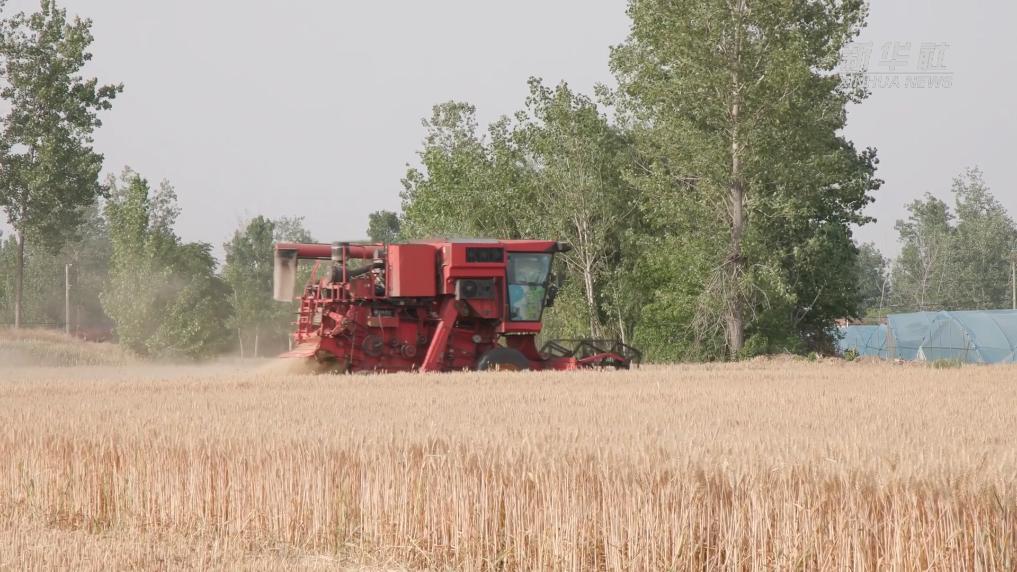 麦田里的&ldquo;问题清单&rdquo;