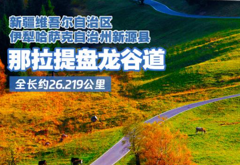 十大最美农村路公布，一起去看看吧