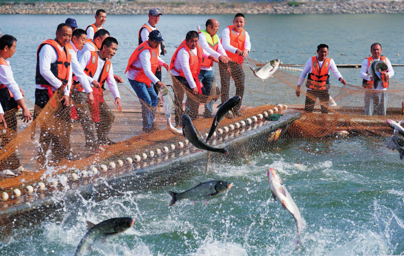 江西加快农业农村现代化建设步伐