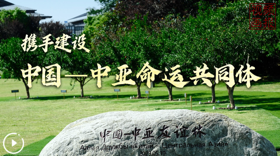 视频画报丨携手建设中国－中亚命运共同体