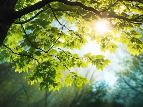 北京平谷：32家科技小院成乡村振兴新引擎