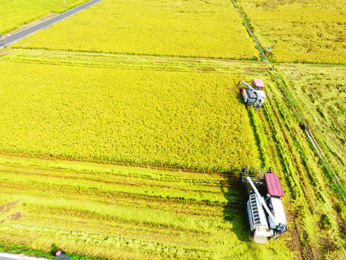 今年中国农业生产将保持向好态势