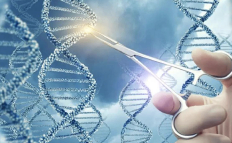 基因编辑技术构建出人类抗衰老细胞