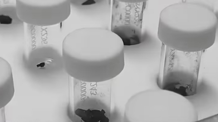 月球背面月壳磁场弱土壤磁性强之谜揭开