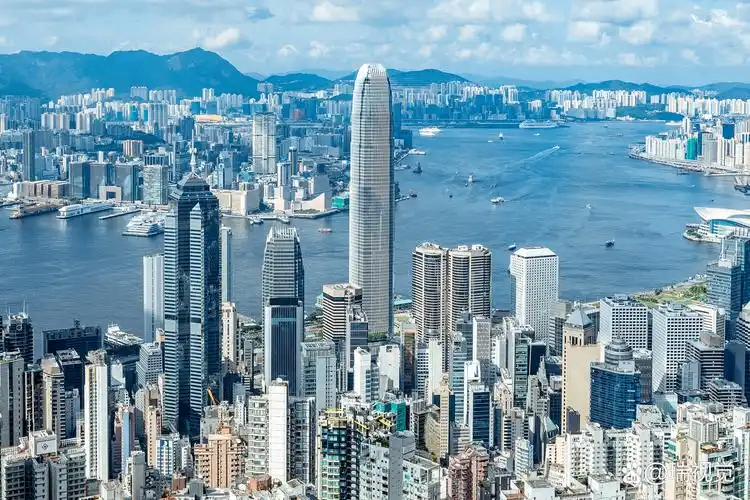 香港业界探讨发挥供应链服务优势拓展国际市场