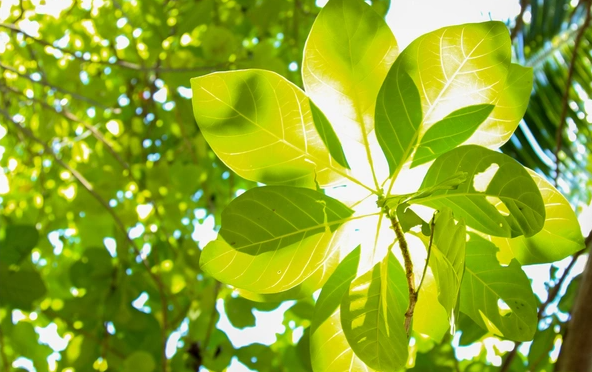 近三年全国城乡残疾人就业率提高4.8个百分点