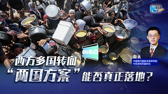 西方多国转向 &ldquo;两国方案&rdquo;能否真正落地