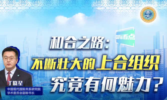 不断壮大的上合组织，究竟有何魅力？