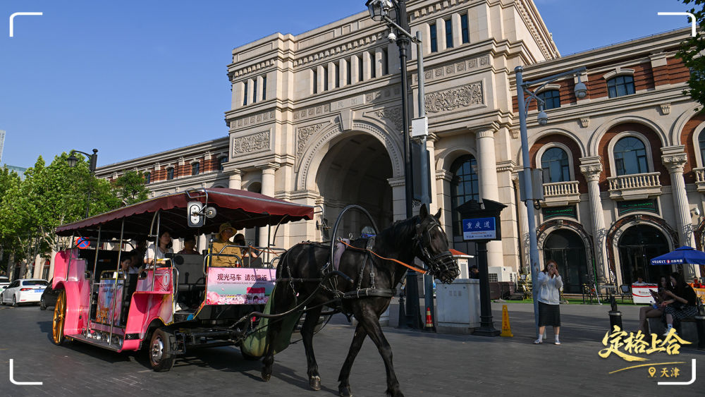 定格上合丨上合时间，&ldquo;津&rdquo;彩纷呈