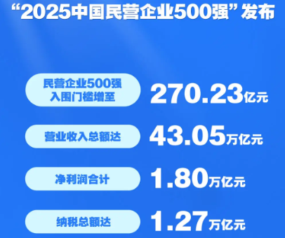 门槛高　赛道新　研发强&mdash;&mdash;透视&ldquo;2025中国民营企业500强&rdquo;