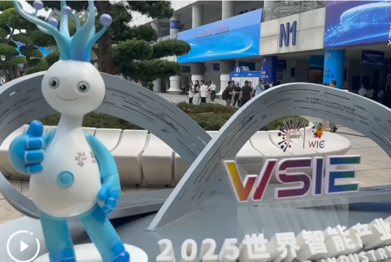 智能机器人大显身手 智博会上看&ldquo;智造&rdquo;