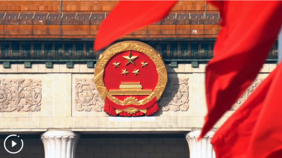 以教育家精神铸魂强师 谱写教育强国建设华章