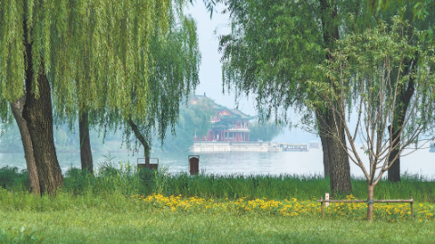 颐和园昆明湖南岸景观提升