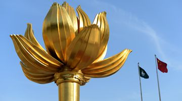 澳门公布7名委任议员名单 第八届立法会议员全部产生