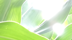 连续十四年践行&ldquo;国之栋梁&rdquo;助学承诺