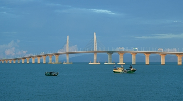 第七届粤港澳大湾区中医药传承创新发展大会在港举行