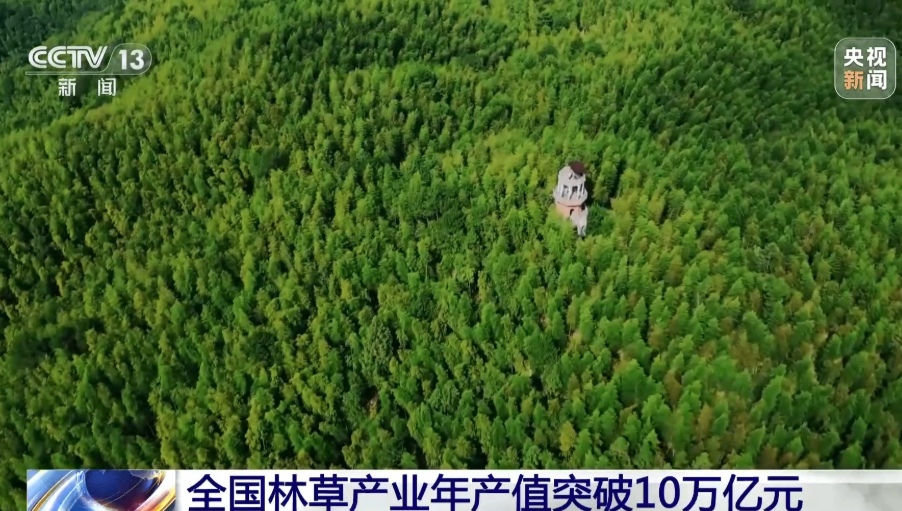 我国林草产业年产值突破10万亿元