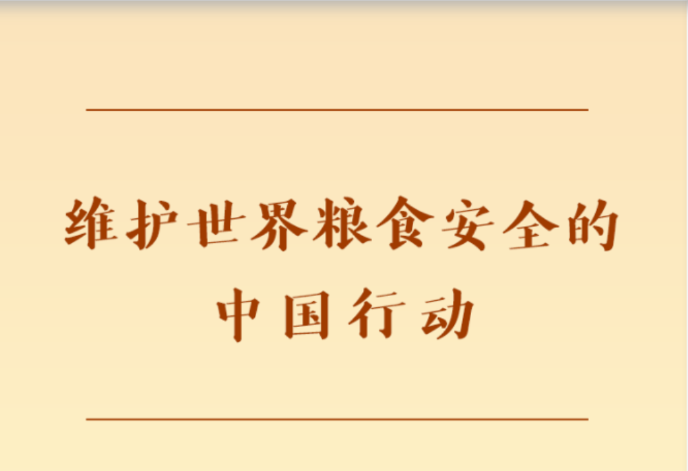 维护世界粮食安全的中国行动