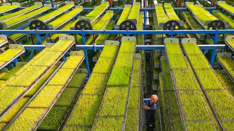 加快农业数智化转型升级