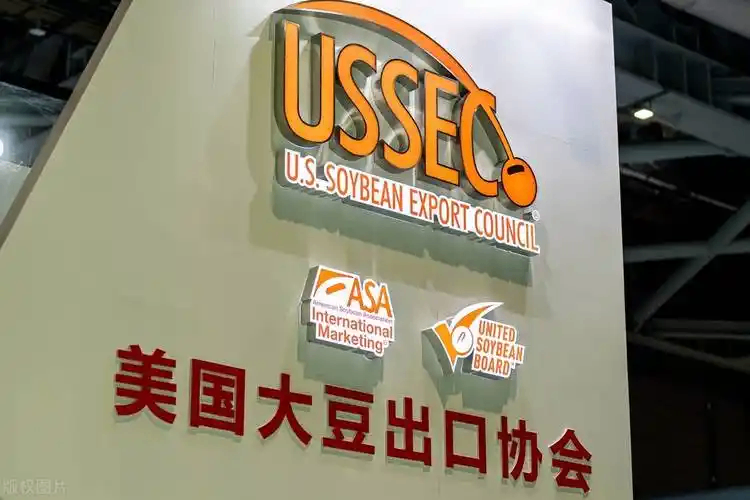 美国大豆出口协会负责人：中国市场无可替代
