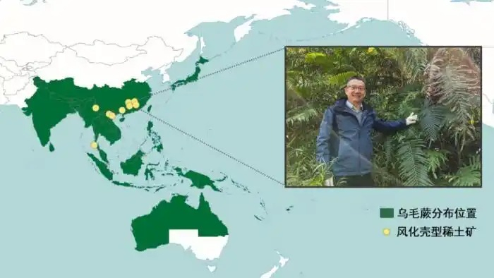 我科学家首次在植物中发现稀土成矿