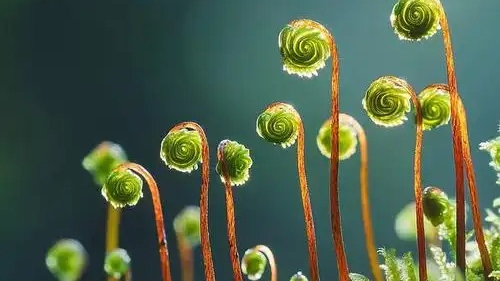 我国研发的微观世界&ldquo;超级相机&rdquo;交付使用