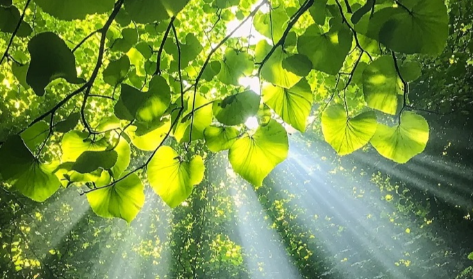 &ldquo;守护心&lsquo;晴&rsquo;&mdash;&mdash;全民心理健康行动&rdquo;落地新疆阿拉尔市