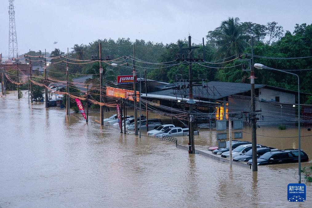 泰国洪灾已致41人死亡