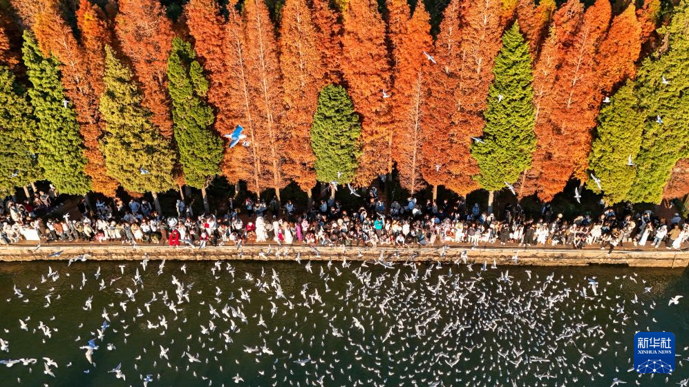 滇池：美景如画引客来