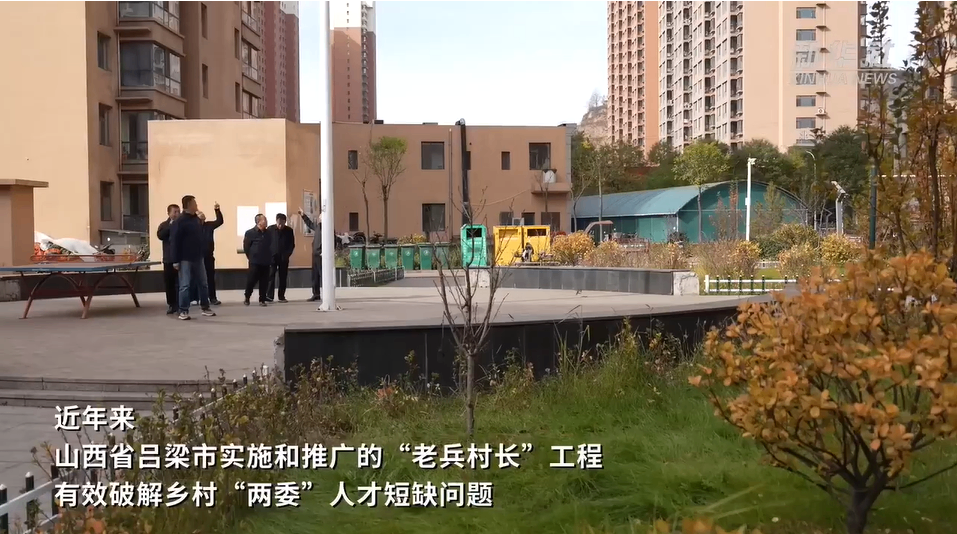 山西吕梁：&ldquo;老兵带头人&rdquo;让乡村振兴焕发新活力