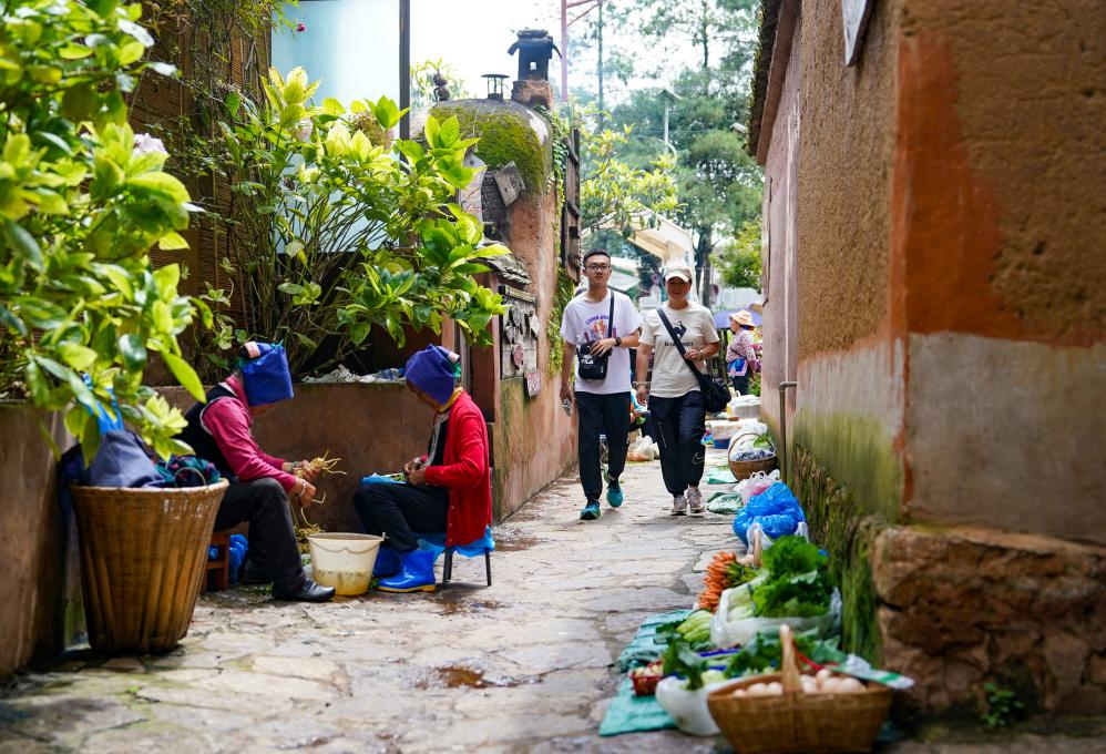 强化深度体验，云南旅居经济持续升温