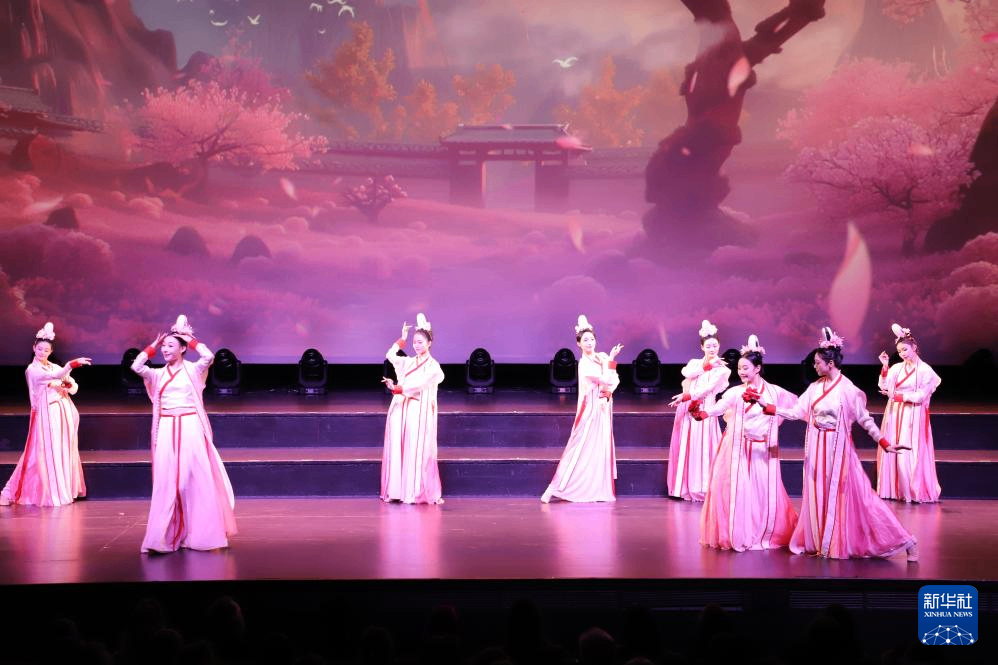 冰岛雷克雅未克：中国古典舞演出庆新春