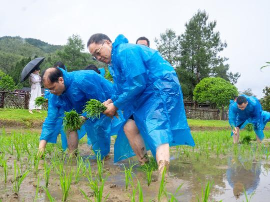 在井冈山上&ldquo;种&rdquo;科技&mdash;&mdash;科技部帮扶谱写老区振兴新篇章