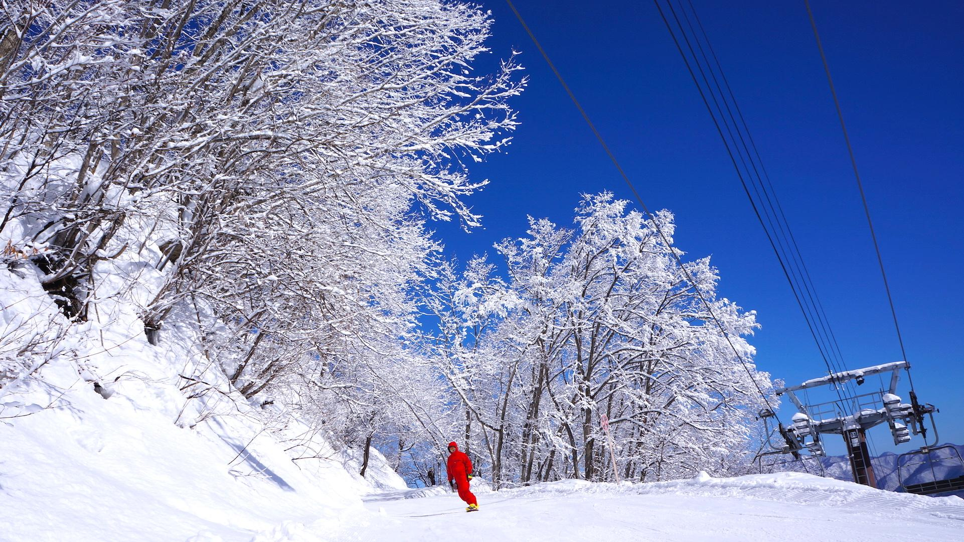 南方冰雪经济升温 多元业态开拓新市场