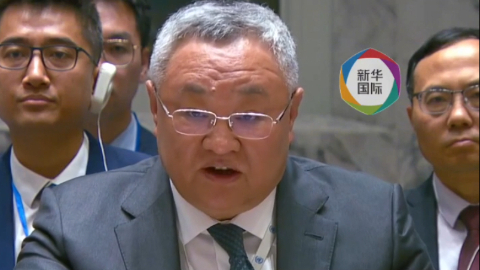 中国代表期待欧盟加强战略自主