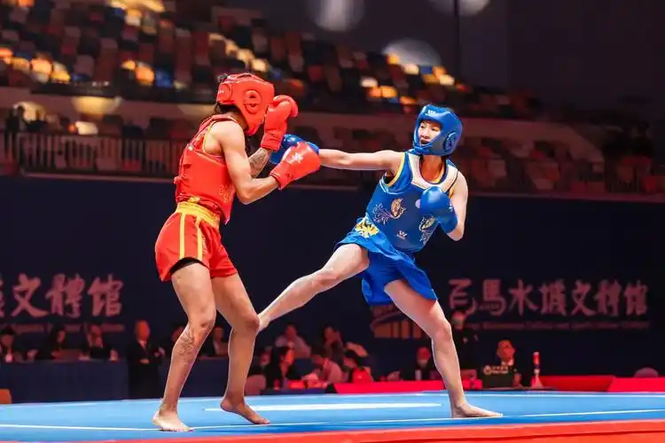 武术散打世界杯闭幕 中国队获七金列榜首