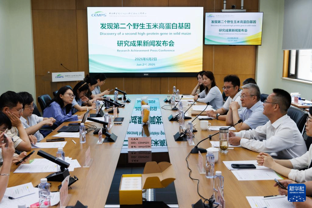 我国科研团队成功找回&ldquo;丢失&rdquo;的野生玉米基因