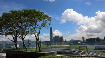 AI需求驱动 香港6月商品出口货值同比增53.4%