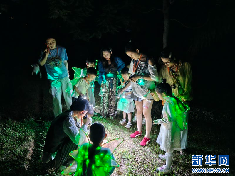 云南西双版纳：自然研学受青睐