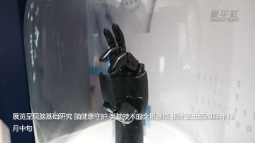 中国科技馆推出脑科学主题展览